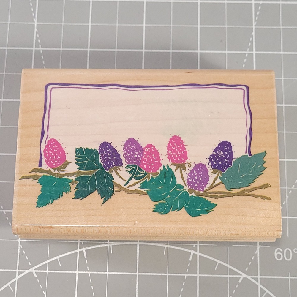 Posh Impressions Raspberry Berry Border Rubber Stamp Label Z490-F Wood 1994 USA